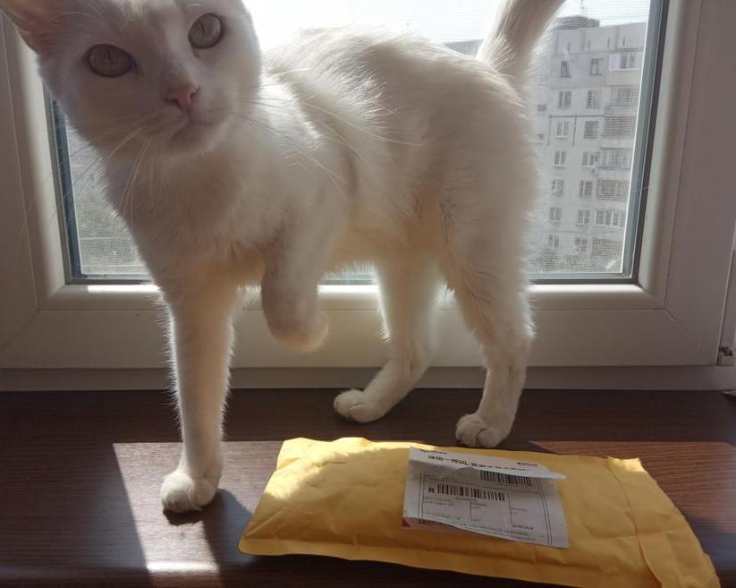 Обзор и тест Цифрового Штангенциркуля